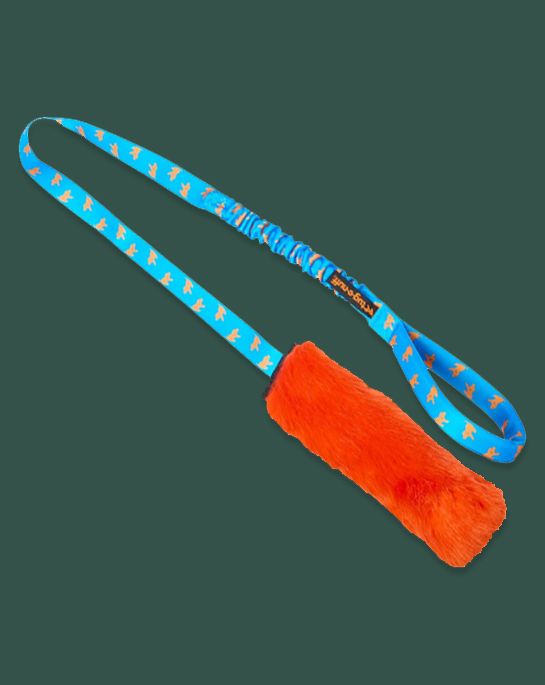 pirategod.co.uk, behaviourust, dog training, enrichment, play, learn, toy, reward, tug