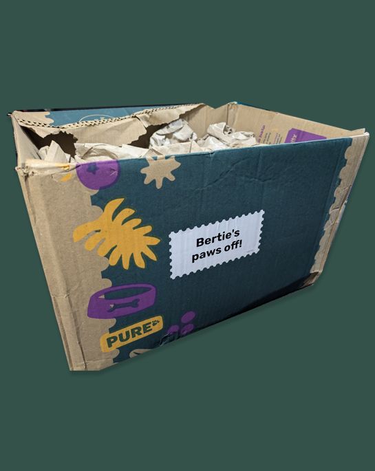 piratedog.co.uk, pure, cardboard, box, game, enrichment