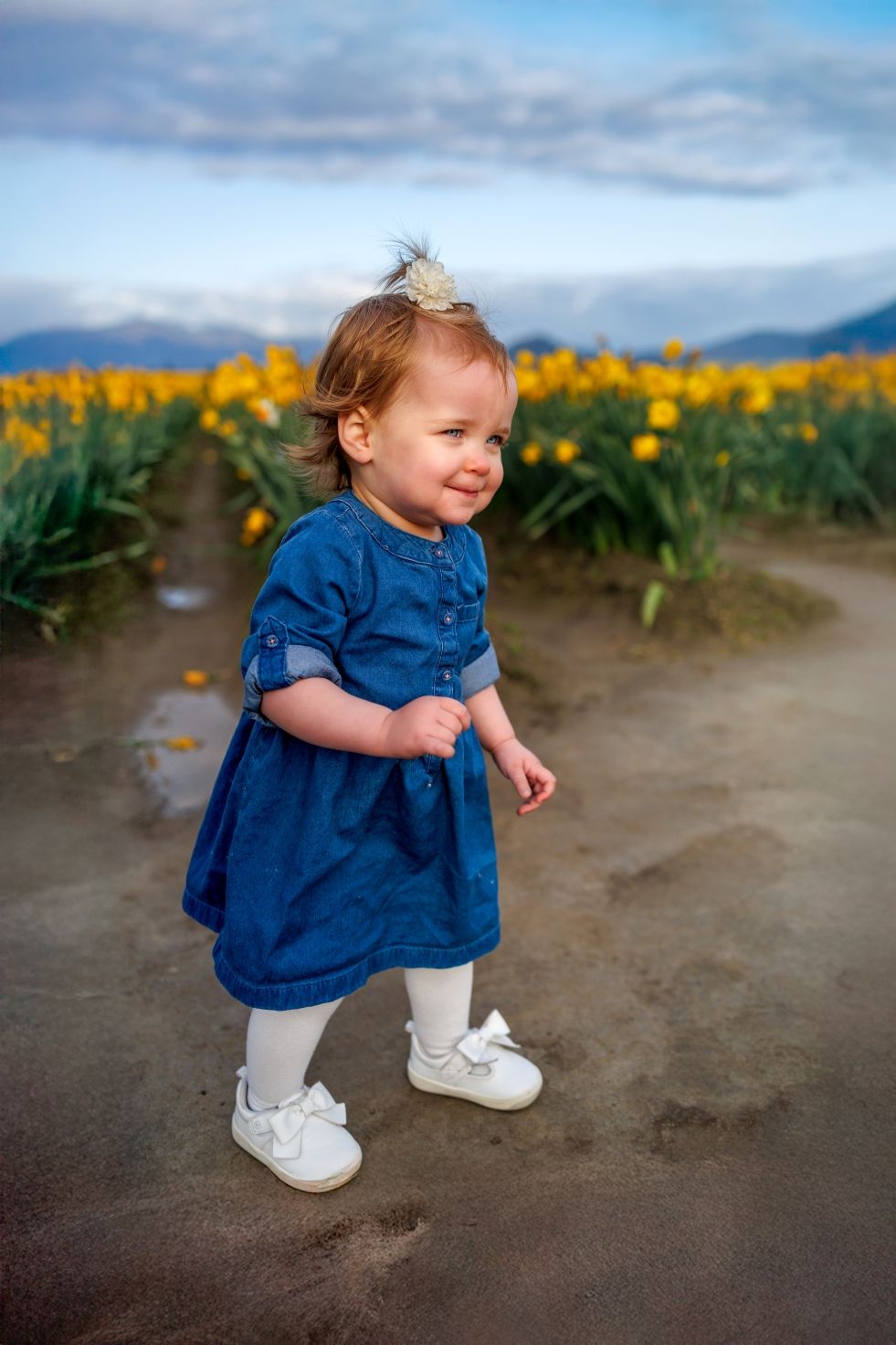 A toddler in a blue dress and white shoes stands smiling in front of a field of yellow daffodils on a cloudy day.