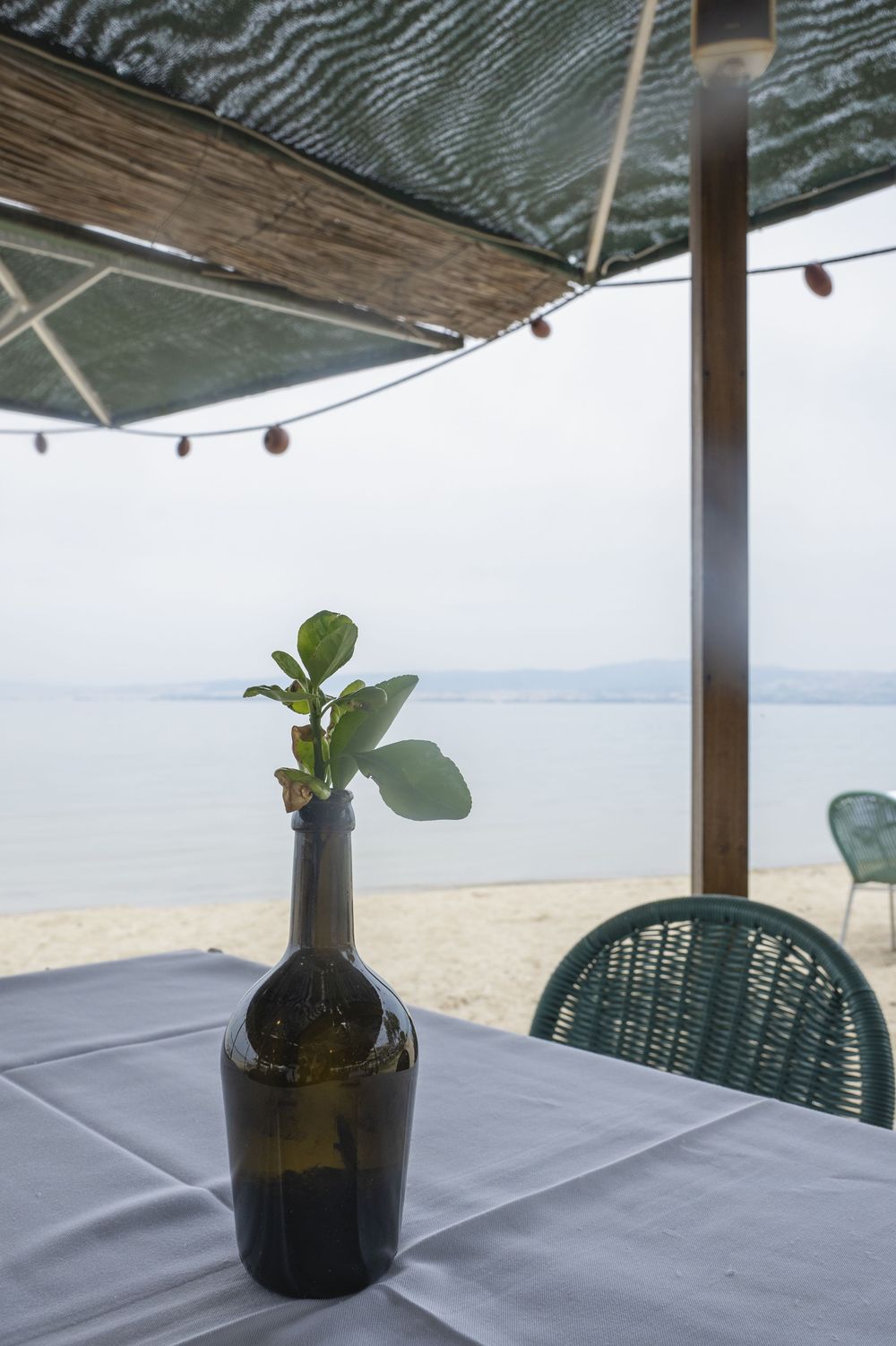 Minimalist seaside dining table with green chairs and small plant vase overlooking calm ocean waters.