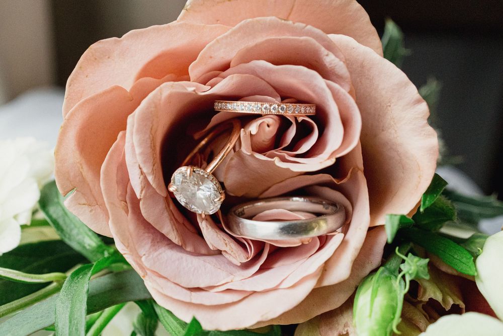 Close-up of a dusty pink rose in full bloom with soft petals and green foliage.