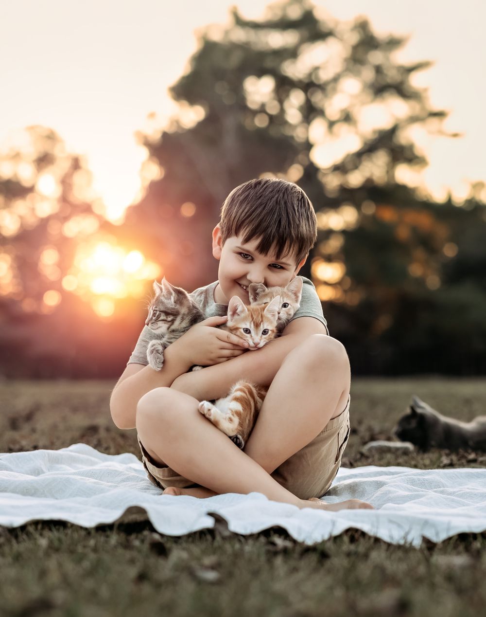 Warm lifestyle portrait of child holding cat during sunset session