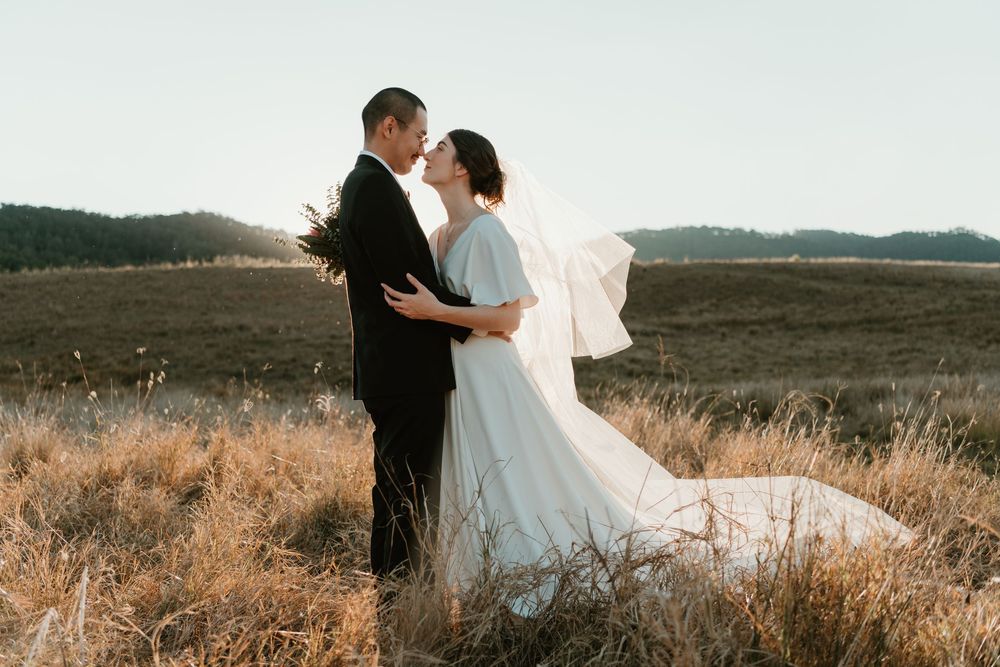 Bride and groom share a romantic kiss in a golden field, with her white gown and veil flowing in the breeze.