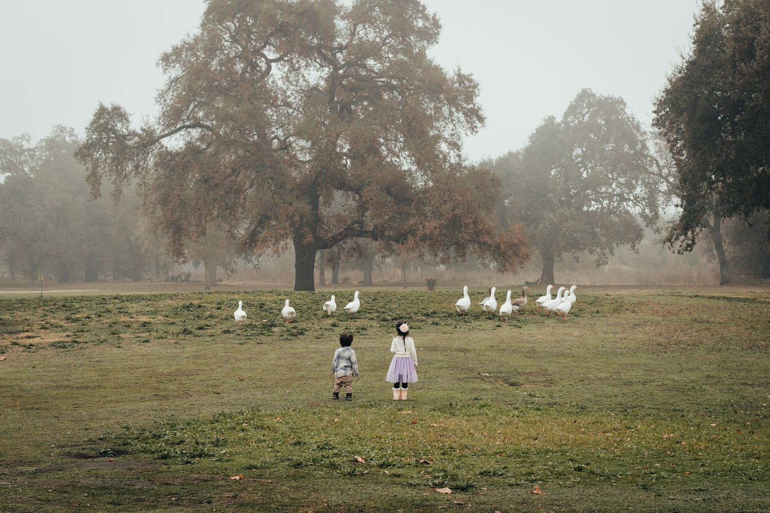 People in white clothing gather in a misty field on an autumn morning as fog settles over the pastoral landscape.