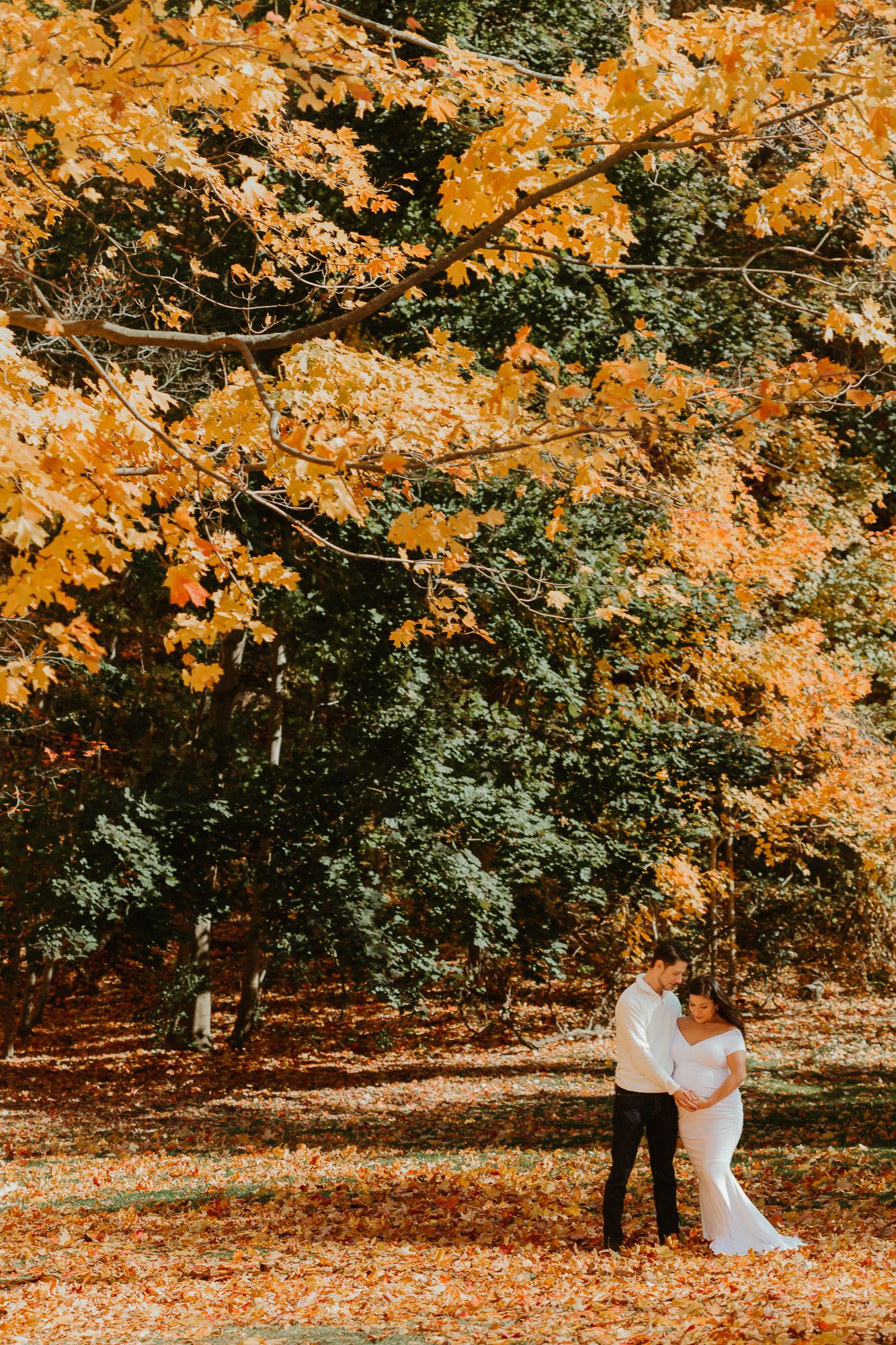 A couple embraces under vibrant autumn trees with orange leaves and scattered foliage on the ground.