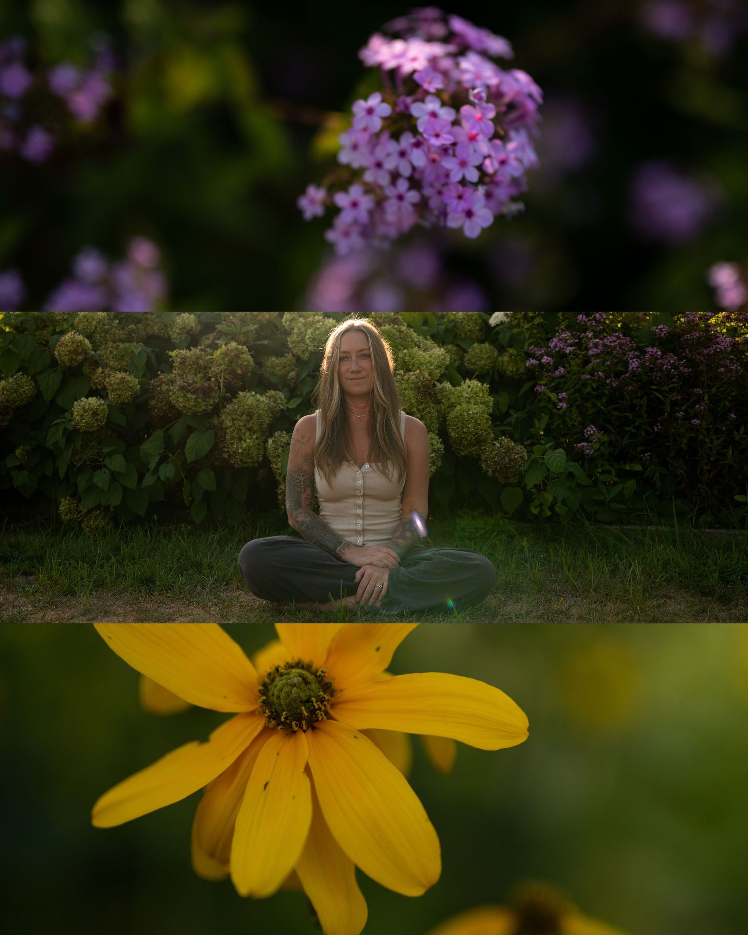 A series of connected photos showing purple blossoms and a bright yellow sunflower in a garden setting.