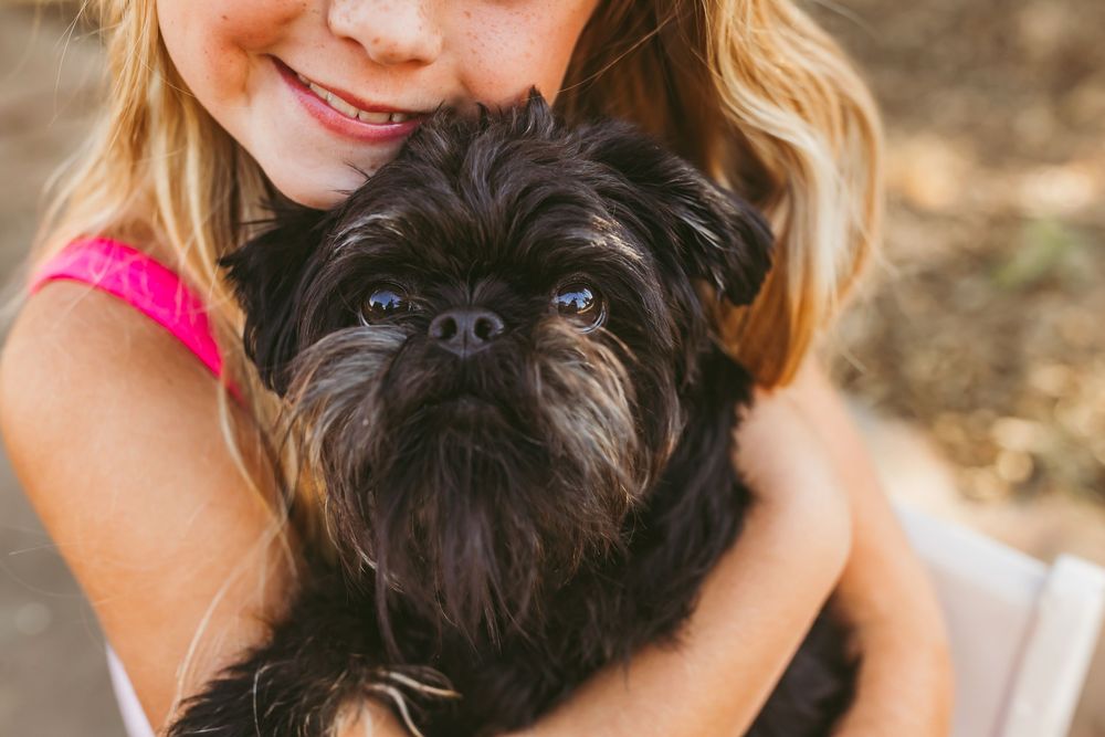 A small black dog with scruffy fur is held and cuddled while outdoors in natural lighting.