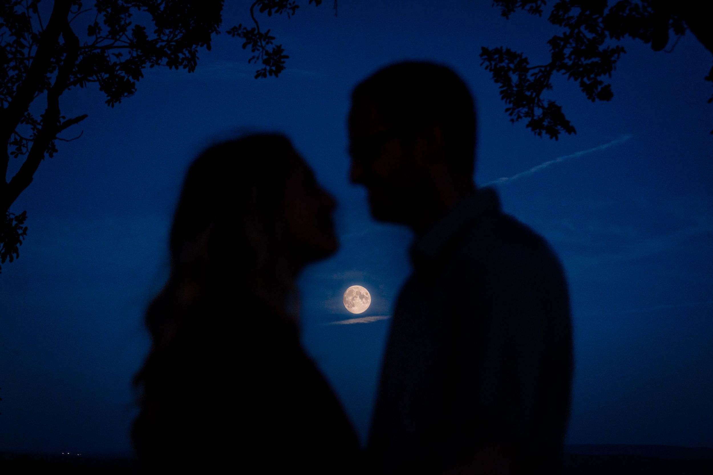 Silhouettes against dark blue twilight sky with full moon visible.