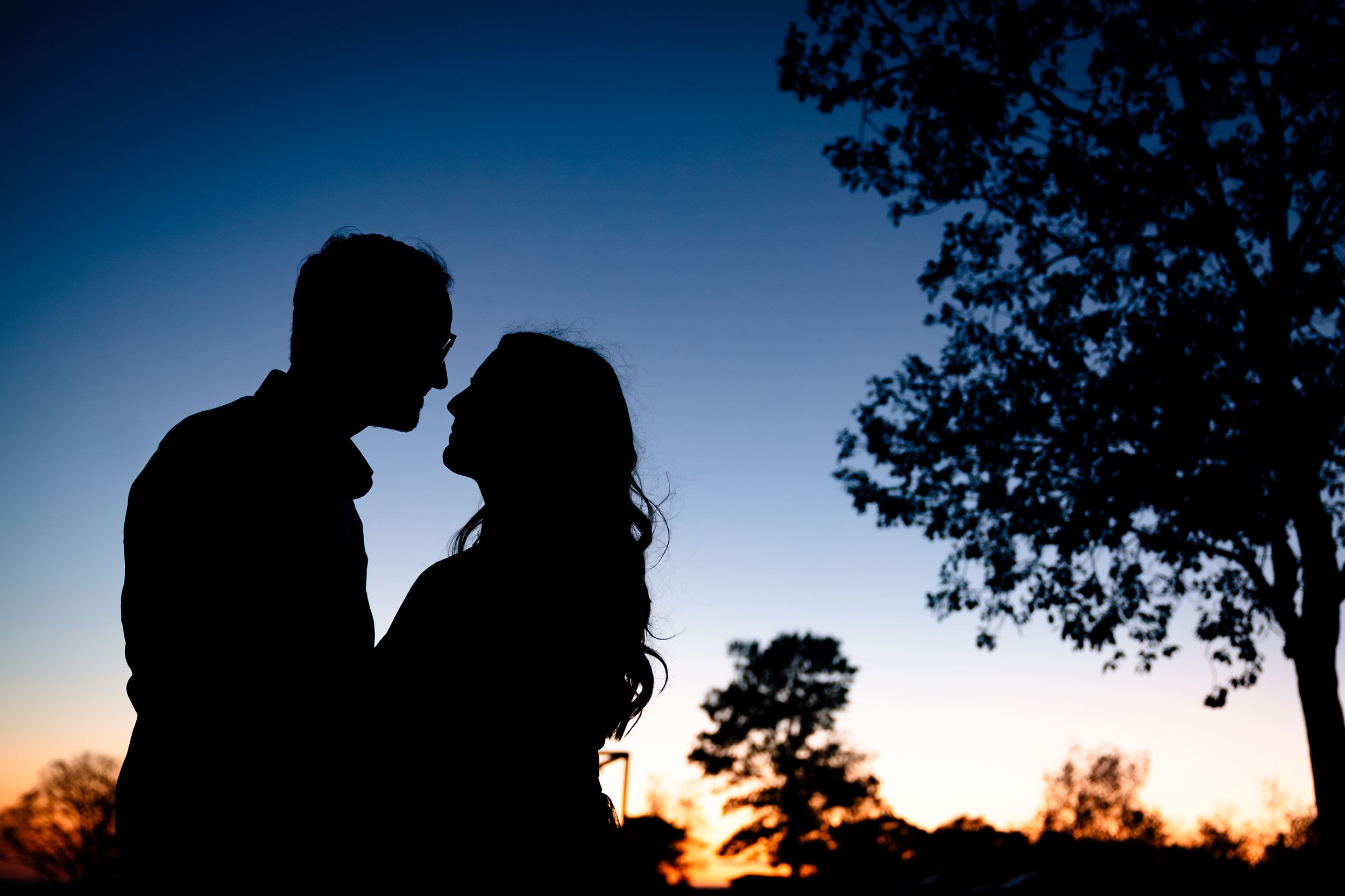 Romantic silhouettes at sunset with trees framing the skyline.