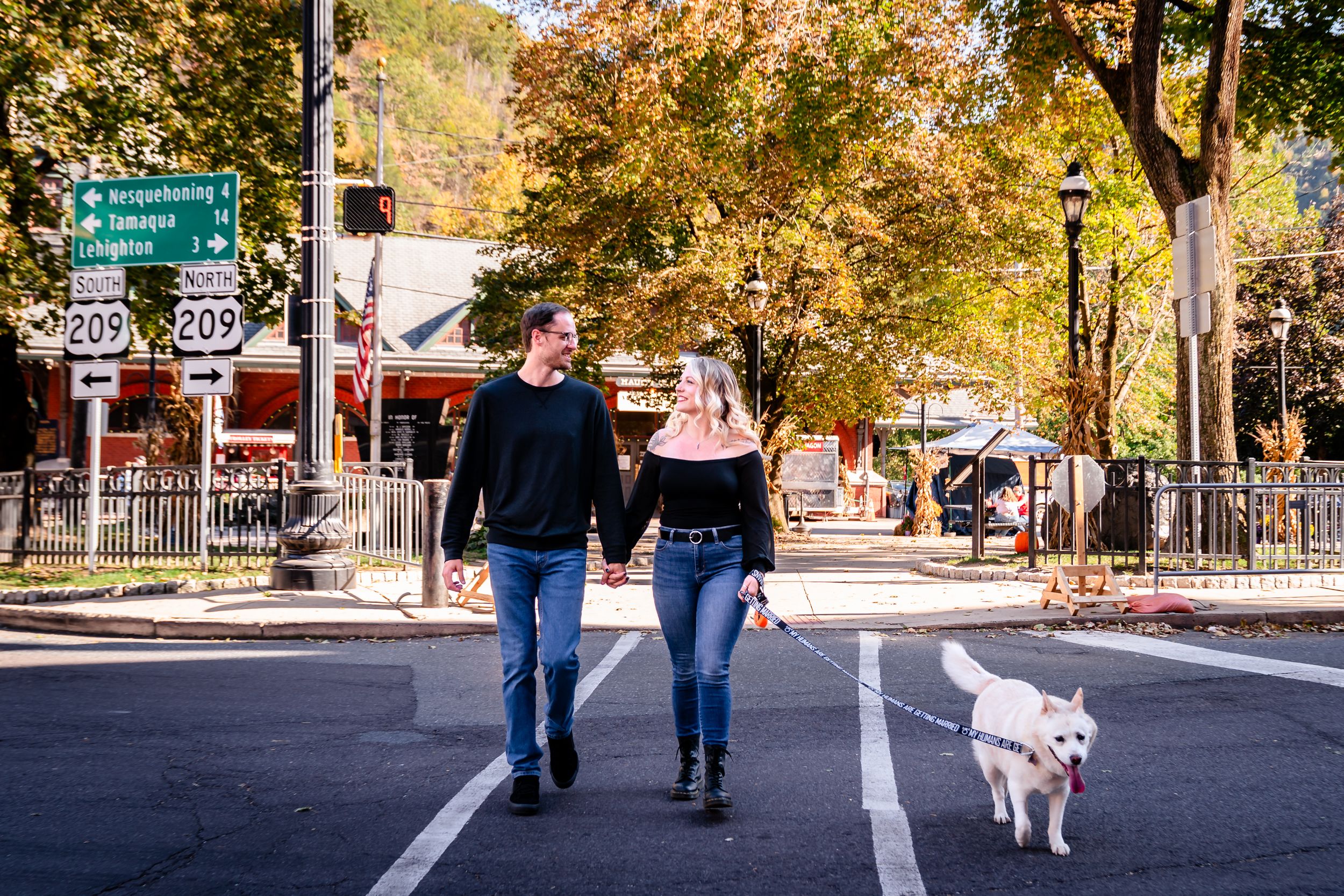 Tree-lined street with fall colors and people walking dogs on a sunny day.