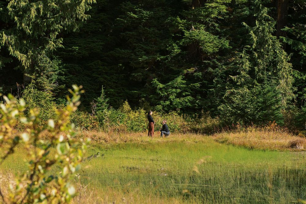Scenic mountain landscape with evergreen trees and meadow on a sunny autumn day.
