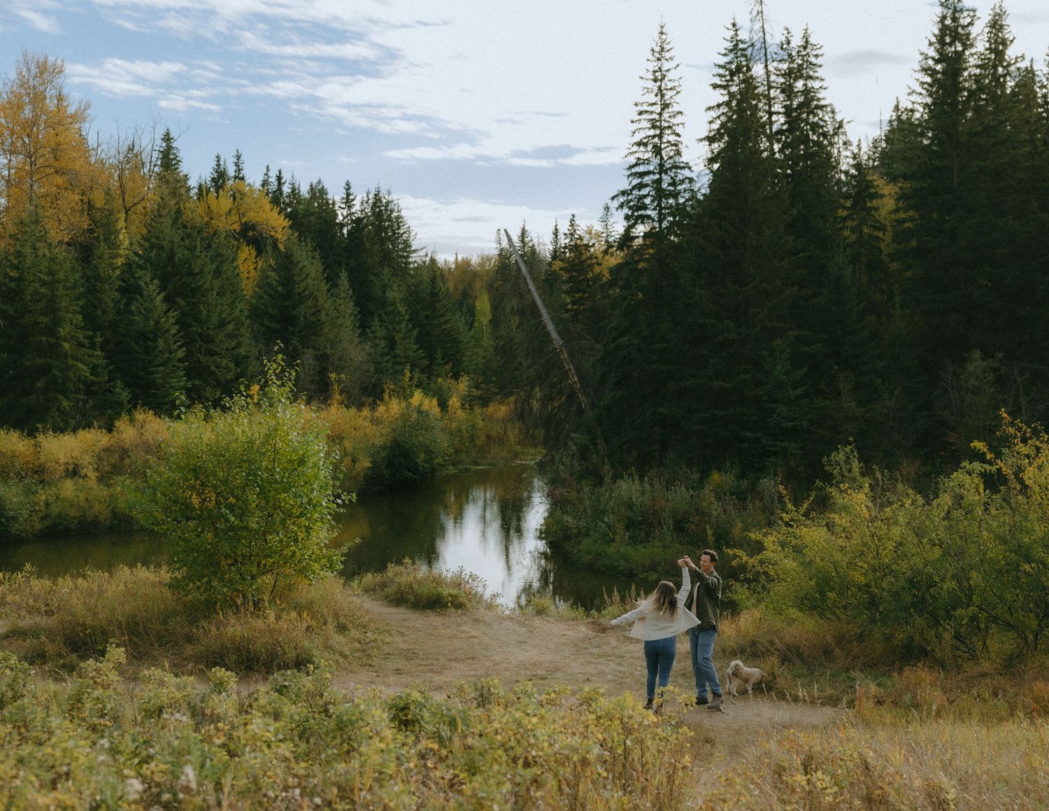 A couple embraces in a scenic autumn meadow with evergreen trees and golden foliage in the background.