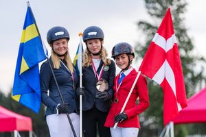 Nordiska Mästerskapen islandshästar 2024