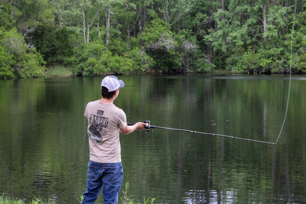 Several people fishing along the edge of a tranquil lake surrounded by green trees.