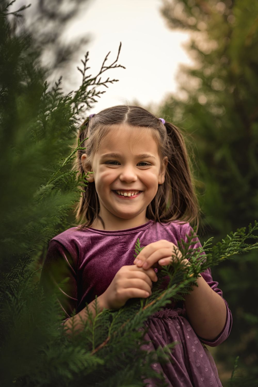A child wearing a purple dress smiles while standing among evergreen branches at golden hour.
