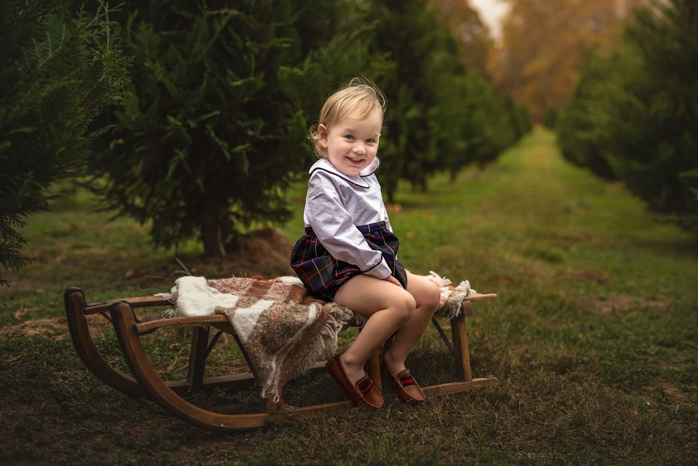 A young boy sits on a rustic wooden sleigh surrounded by evergreen trees for Christmas tree farm mini session