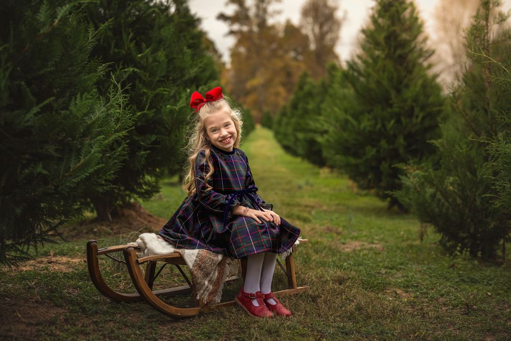 Young child in navy plaid dress with red bow sitting on wooden sleigh between evergreen trees at Christmas tree farm.