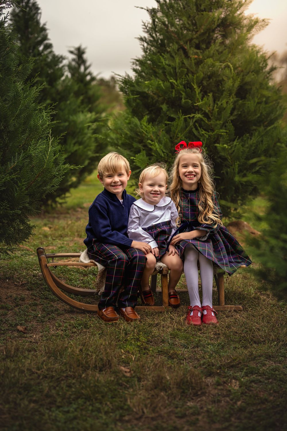 Three children pose together on a vintage wooden sleigh at a Christmas tree farm during the holiday season.