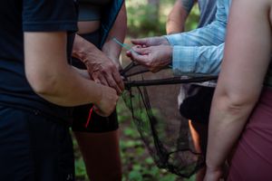 Hands grasp frayed rope segments in a collaborative effort to untangle or arrange them outdoors against a blurred forest background.