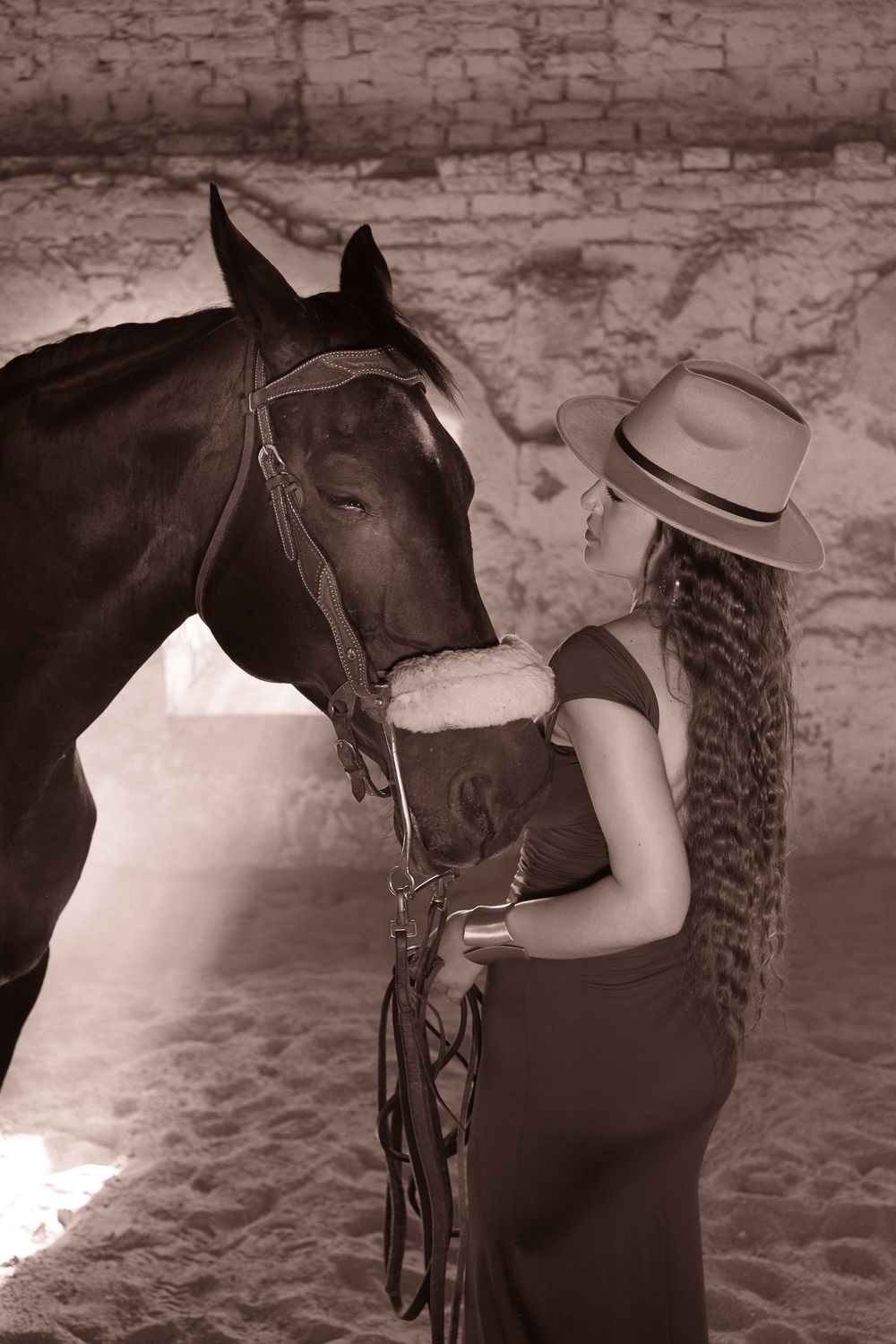 A series of sepia-toned photographs showing a dark horse wearing riding gear against a rustic stone wall background.