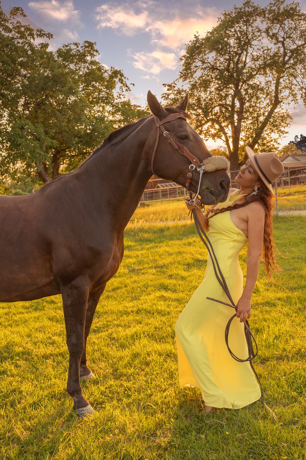 A series of photos showing a dark brown horse and someone in a yellow tank top interacting in a sunlit grassy field at sunset.