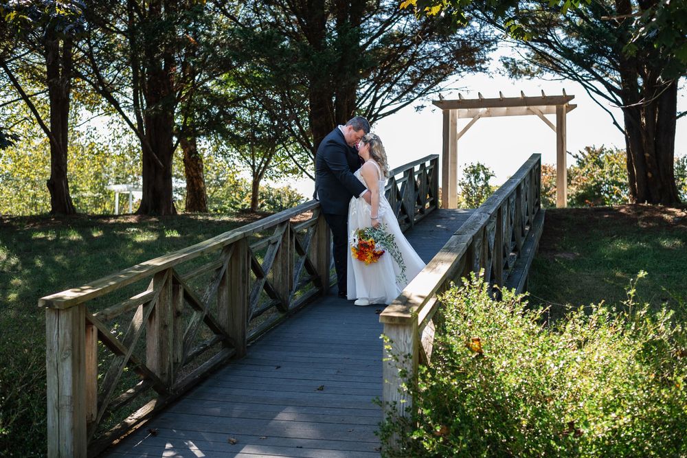 A couple embraces on a wooden bridge walkway surrounded by lush greenery and trees on a sunny day.
