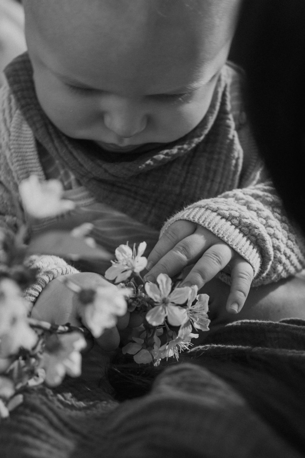 Close-up black and white photo of tiny hands gently touching delicate spring flowers.
