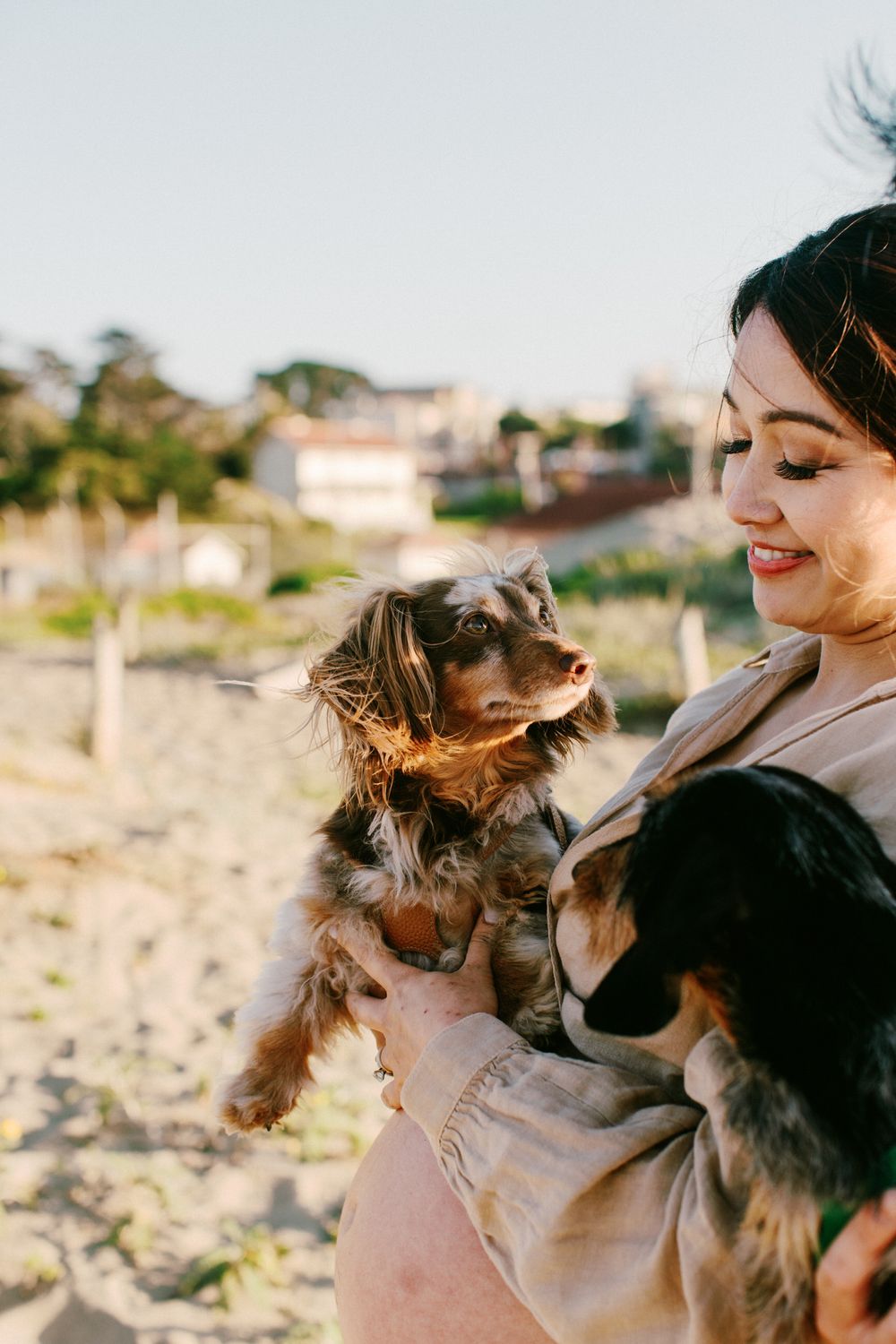 A joyful moment with dogs at the beach during sunset with one dog being held while wearing an orange collar.