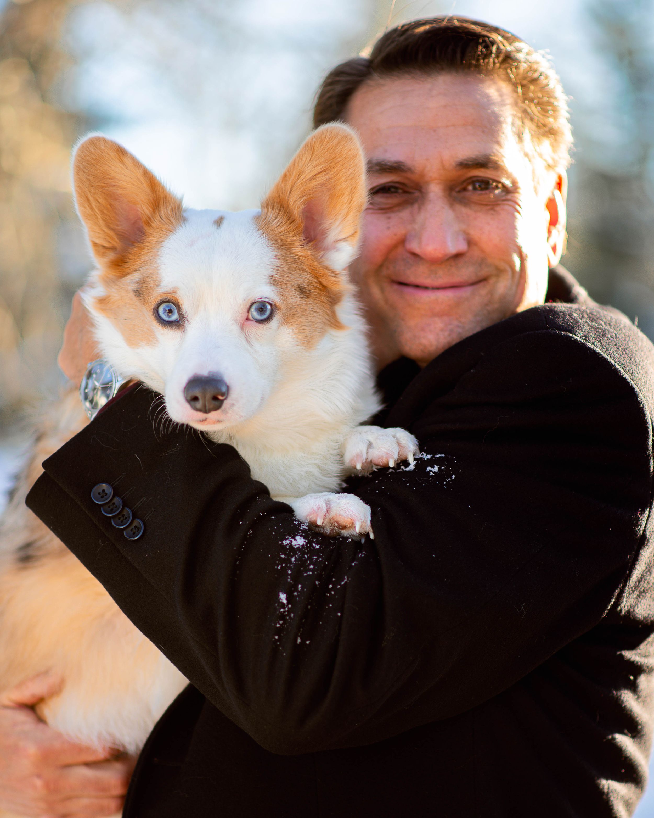 Corgi with striking blue eyes being held in winter scene.