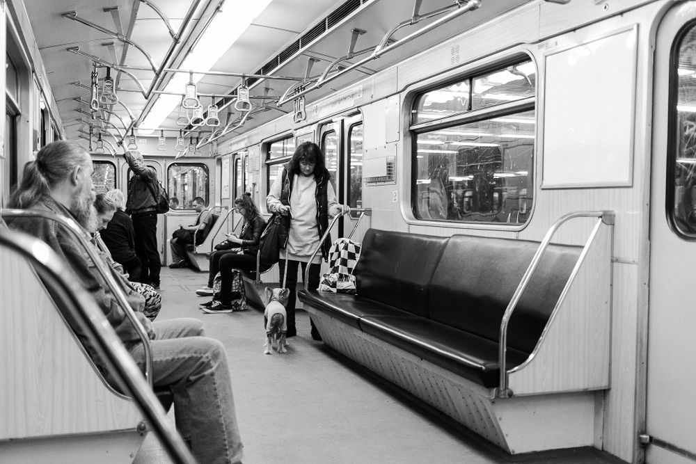 An interior view of a subway car with passengers and metallic details in black and white.