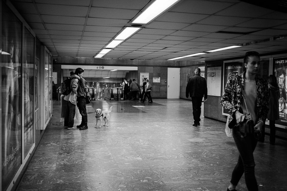 People walking through a long underground passage with fluorescent lighting and tiled walls.