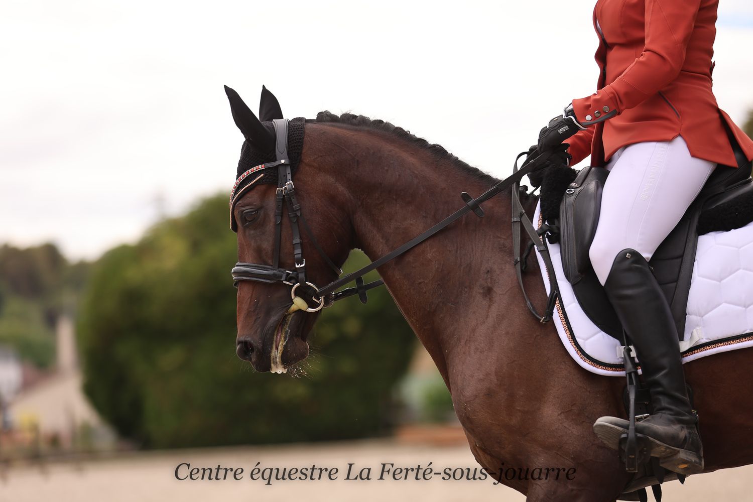 photo cso