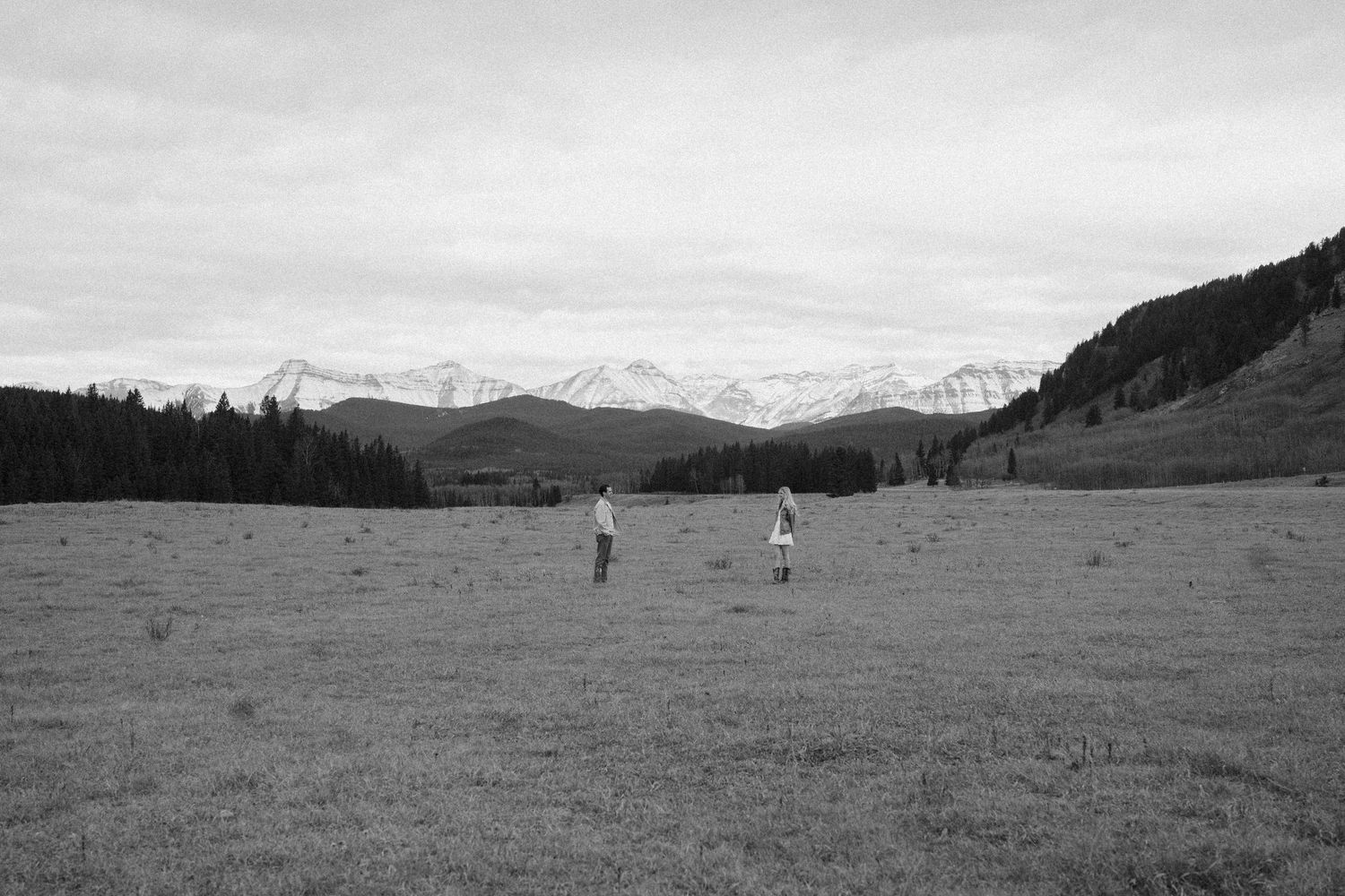 Black and white panoramic landscape photo showing rolling hills and mountains with scattered trees in the distance.