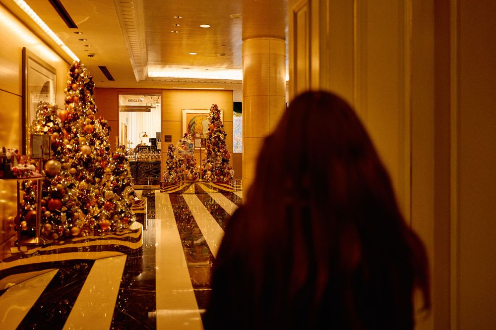 Elegantly decorated hotel hallway with illuminated Christmas trees creating a warm festive atmosphere.