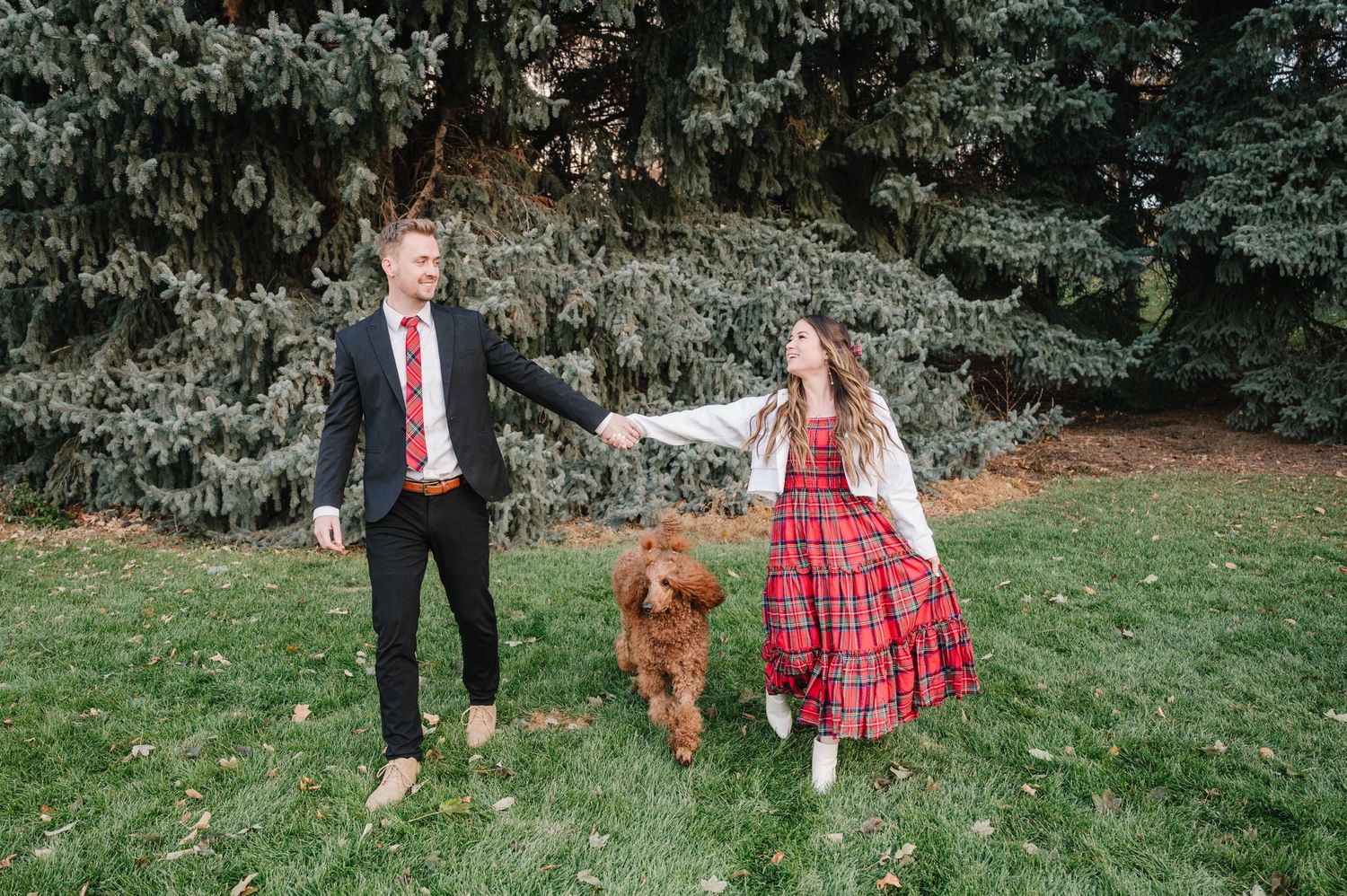 A couple in formal wear plays with their brown dog on grass near evergreen trees.