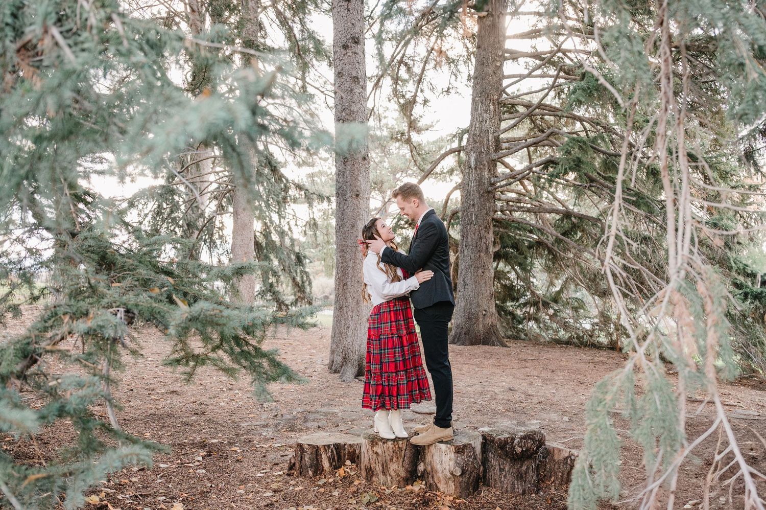 A couple stands intimately together on a tree stump in a serene forest setting with evergreen trees.