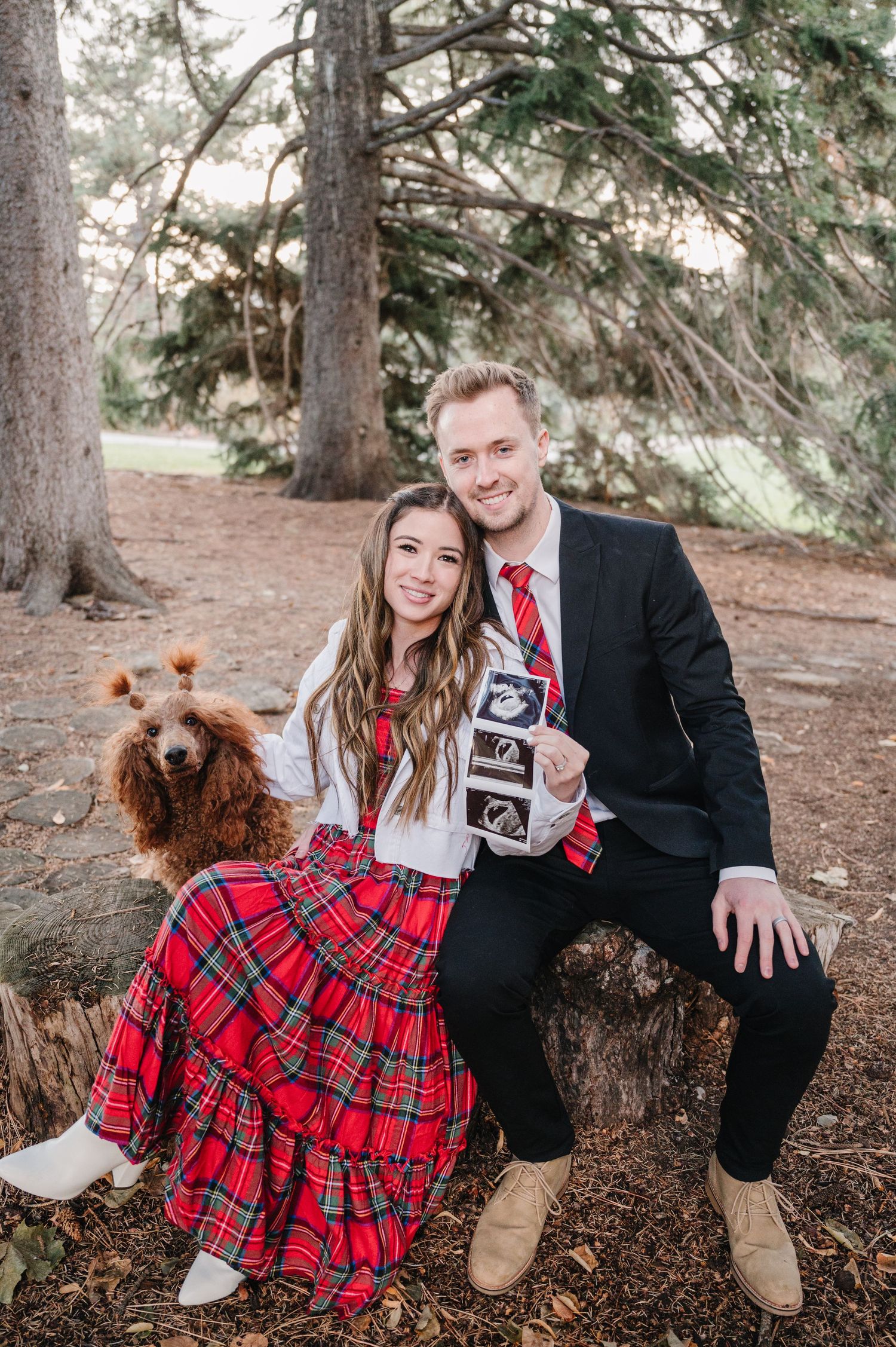 A couple with their dog poses on a tree stump while holding ultrasound photos in a forest setting.