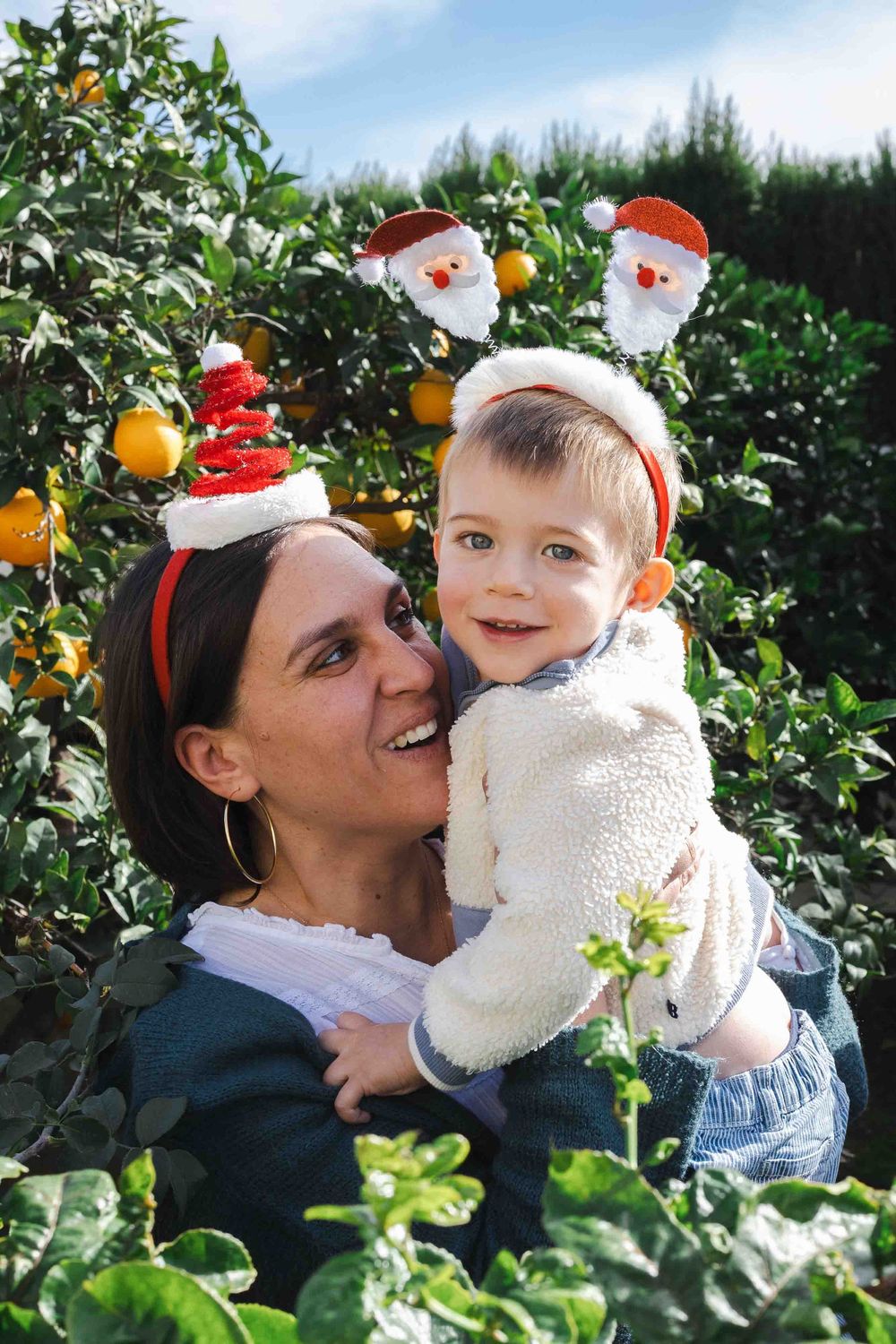 A loving moment captured in an orange grove with bright citrus fruits visible in the lush green background.