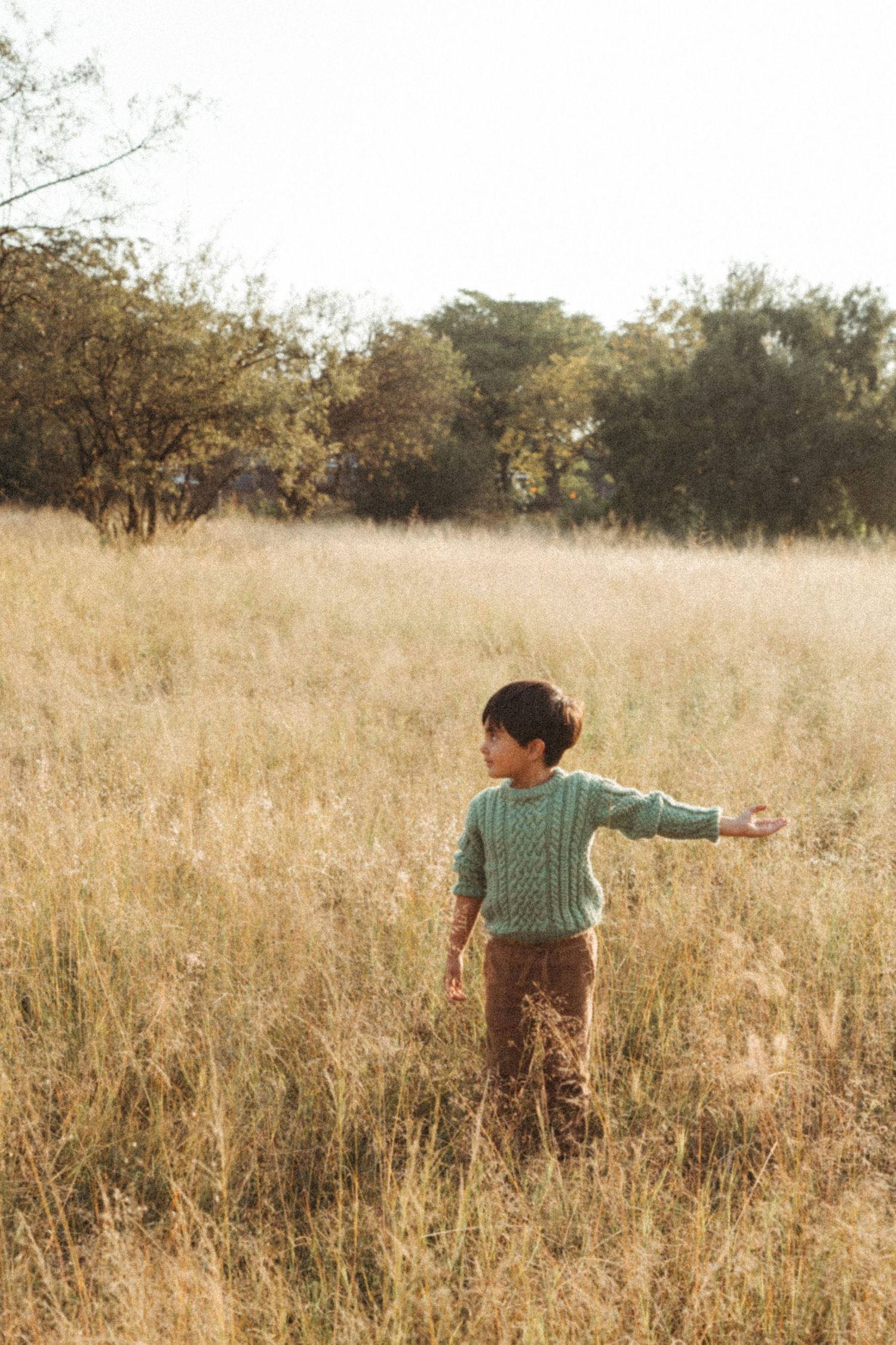 Young person in green sweater exploring a sunlit meadow of tall grass.