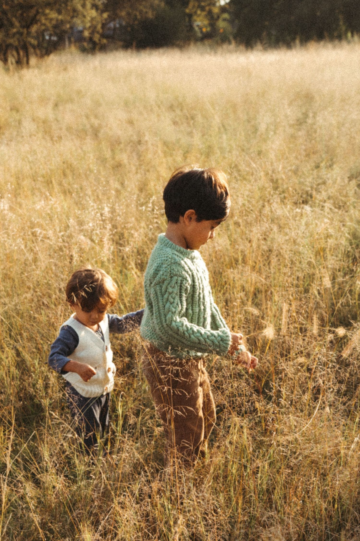 Children wander through tall golden grass on a sunny afternoon.