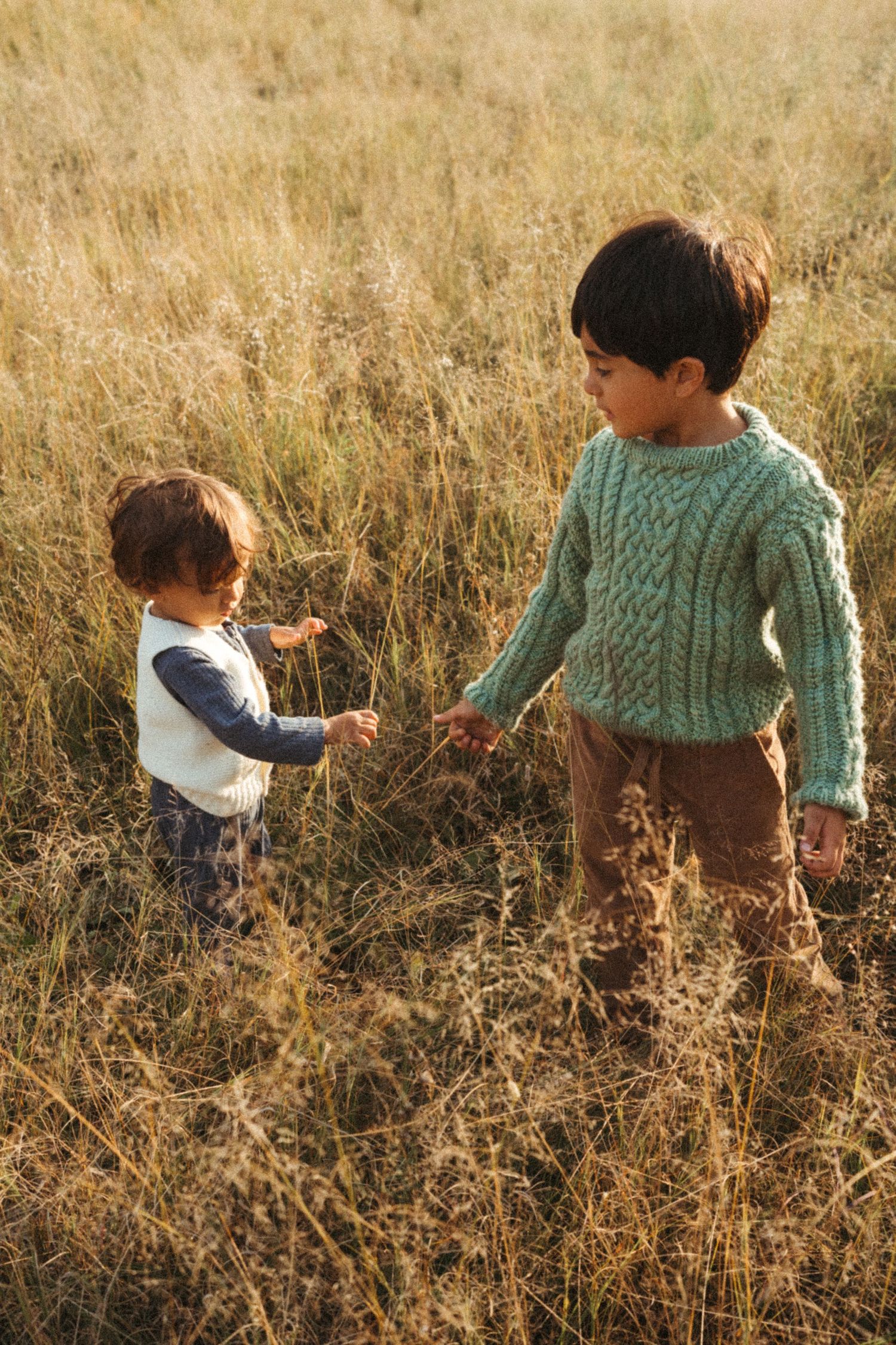 Children walk through a field of golden grass during golden hour.