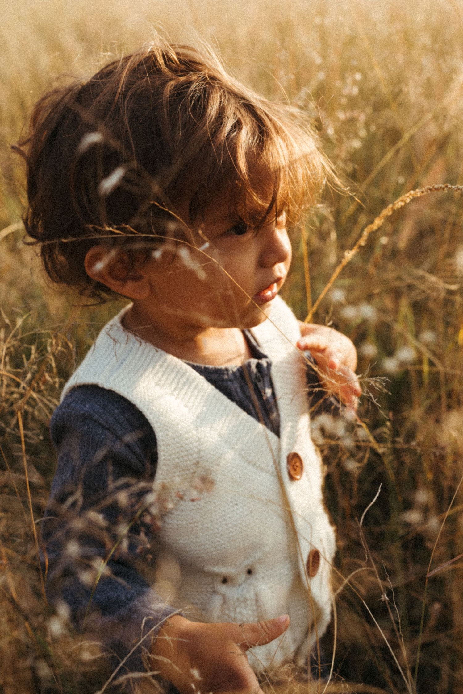Toddler in white vest stands among golden wheat field at sunset.