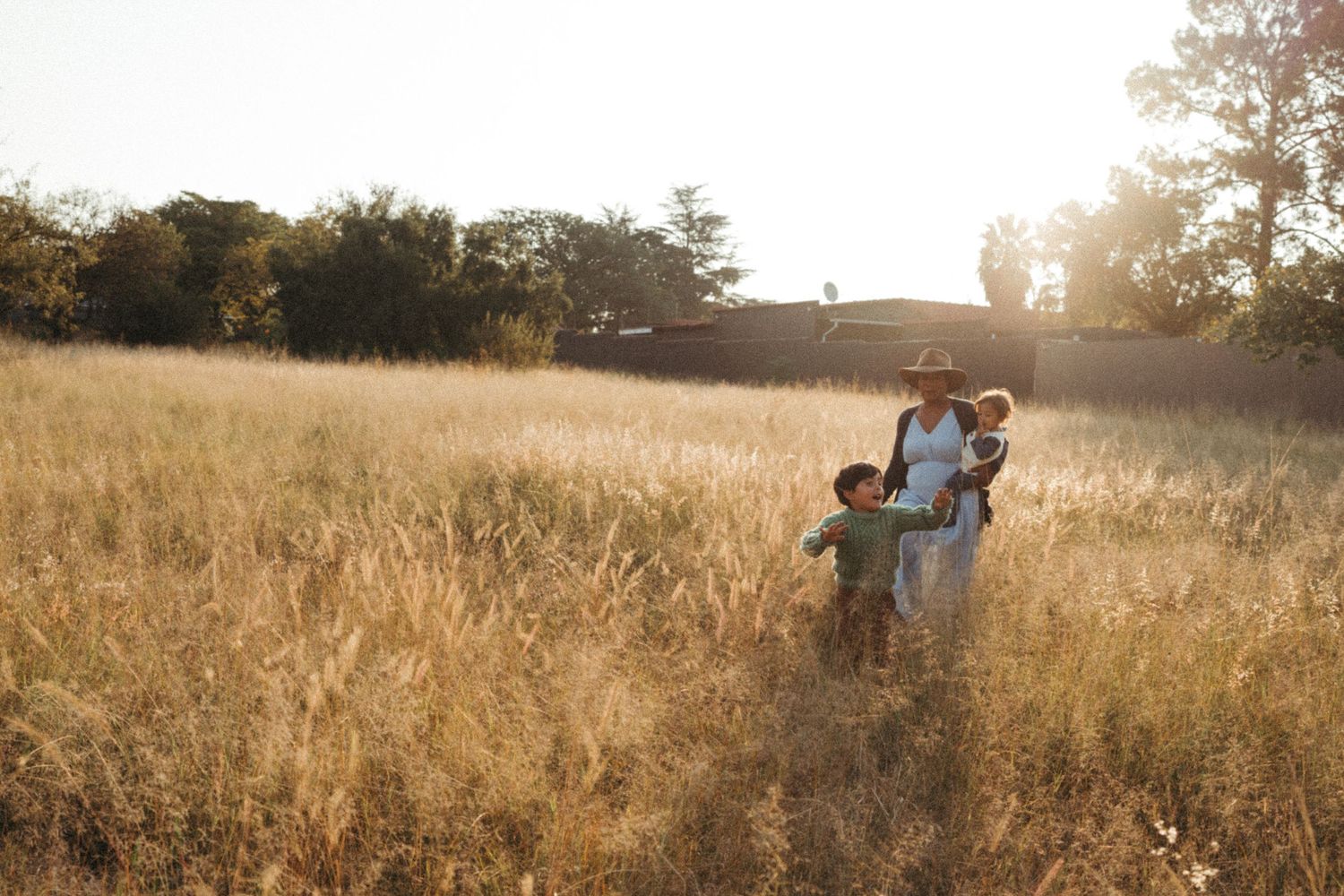 Family walking through golden field at sunset creating long shadows.