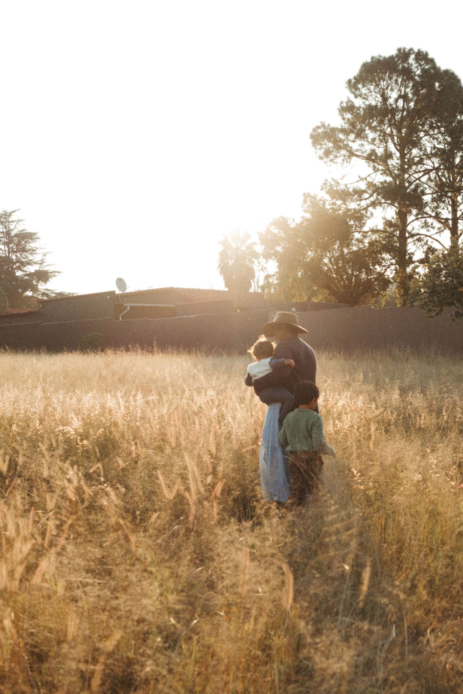A tender embrace captured in a golden field during sunset with tall grass and trees in the background.