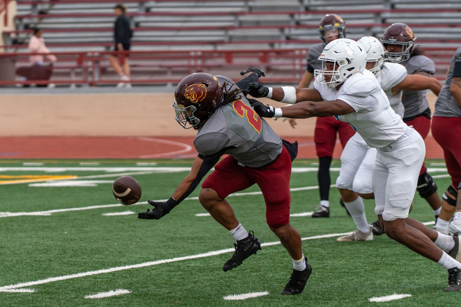 Football player makes diving catch attempt for ball during game on stadium field.