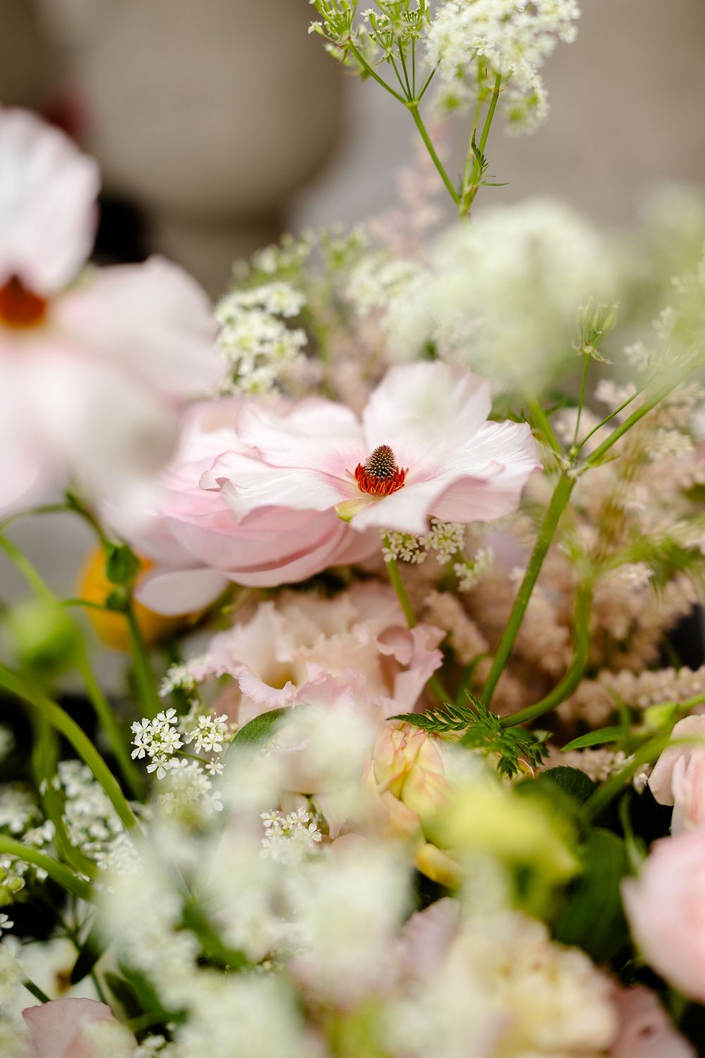 Delicate pink flowers with small white Queen Anne's lace blooms create a soft, romantic garden composition.