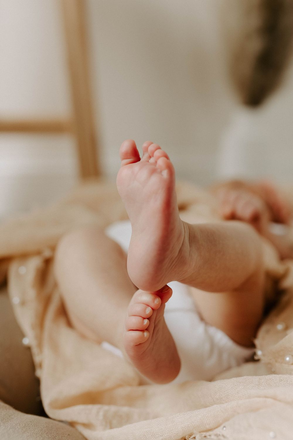 Newborn photoshoot session.