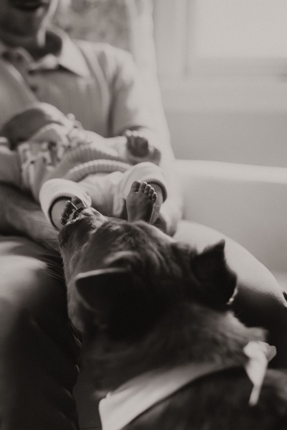 Newborn photoshoot capturing sweet, fleeting moments.