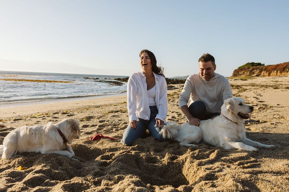 Couple and their dogs relaxing on a sandy beach during golden hour.