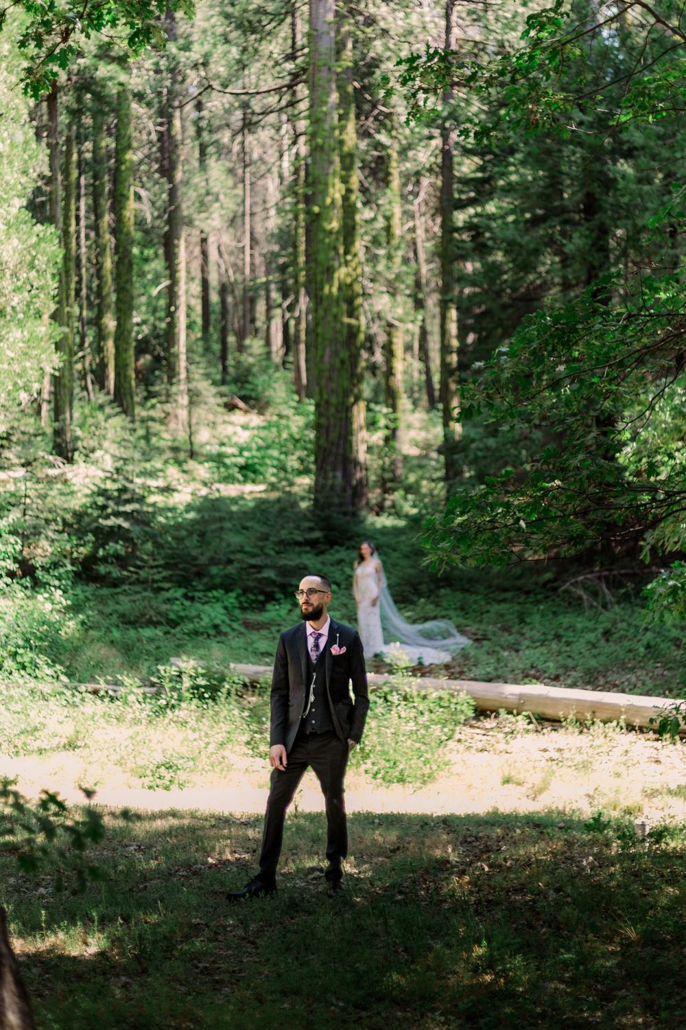Groom poses in classic black suit among sunlit forest greenery.